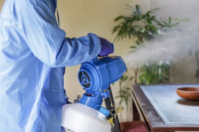 Commercial Fumigation in Fort Myers, FL