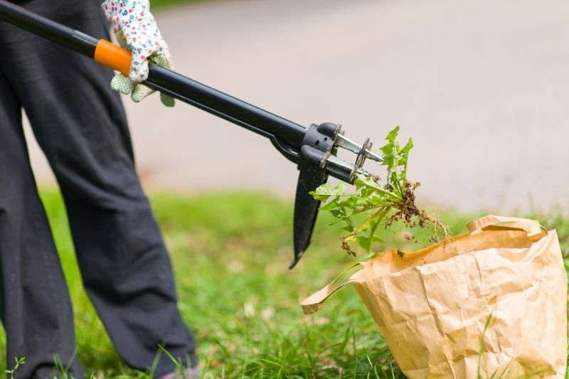 Cost of Mole Extermination — Cost of Mole Extermination